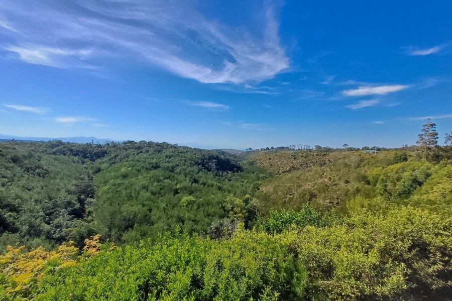 Commercial Property for Sale in Roodefontein AH Western Cape